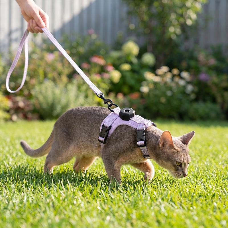 Escape-Proof Reflective Cat Harness with AirTag Holder