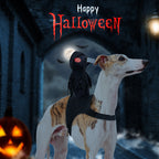 Dark Knight Halloween Costume for Dogs and Cats