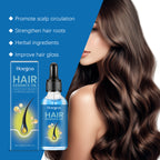 Hoegoa Hair Care Serum, Gently Moisturizes And Hydrates Smooth, Soft And Luminous Hair Treatment For Frizz