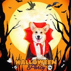 Halloween Bat Cloak Costume for Dogs and Cats