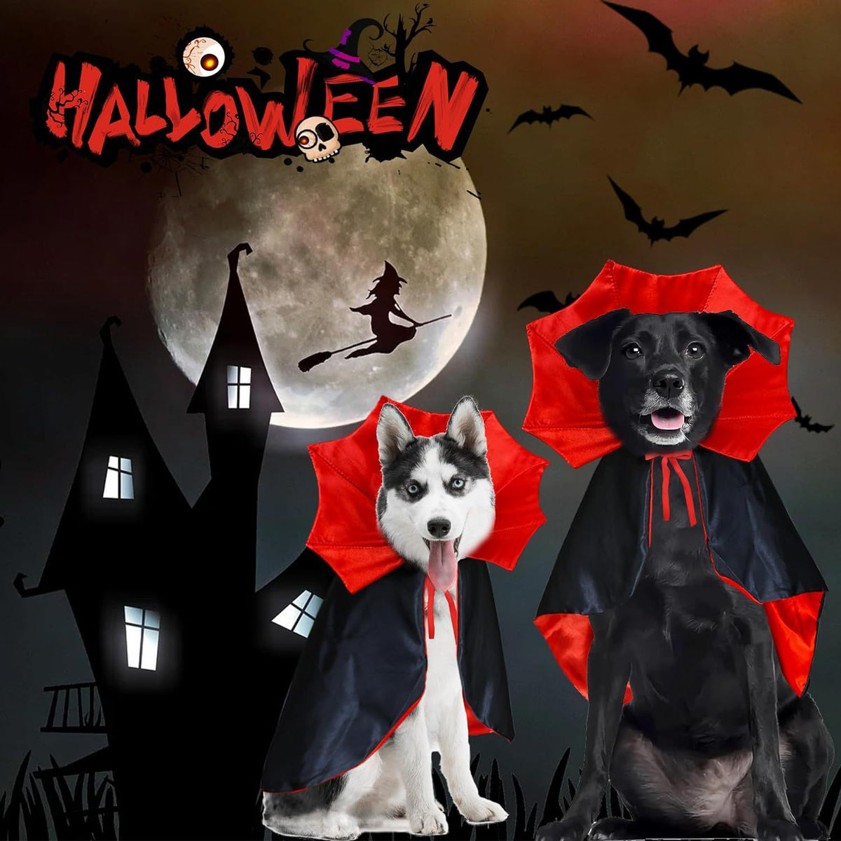 Halloween Bat Cloak Costume for Dogs and Cats