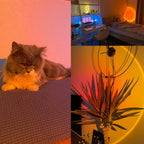 Sunset Arc Smart Mood Lamp