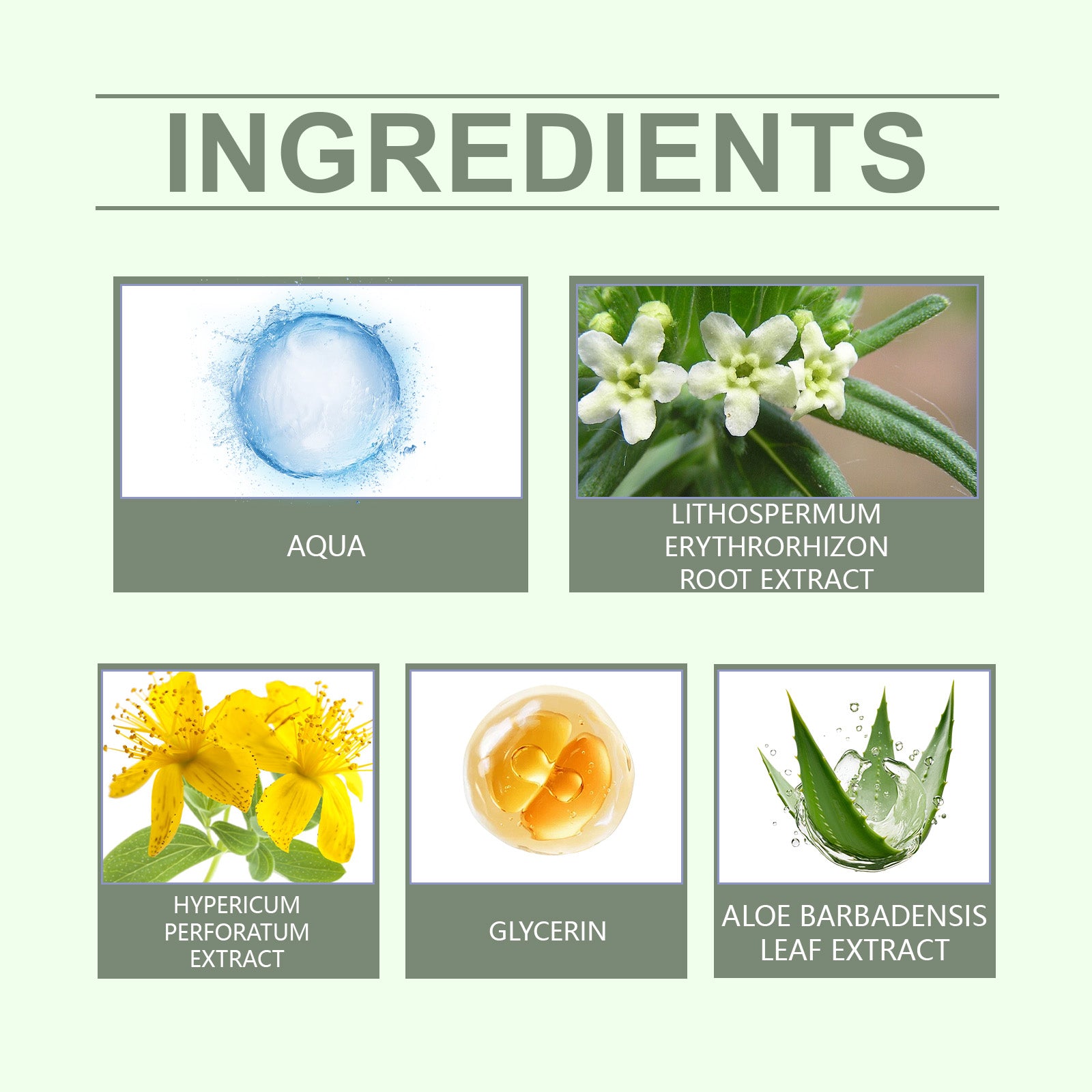WoodSleep Herbal Cream Herbal Formula Relieves Skin Redness And Moisturizes Skin Externally