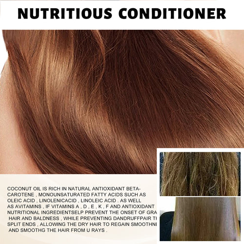 Argan and Coconut Oil Hair Mask Conditioner for Dry Hair