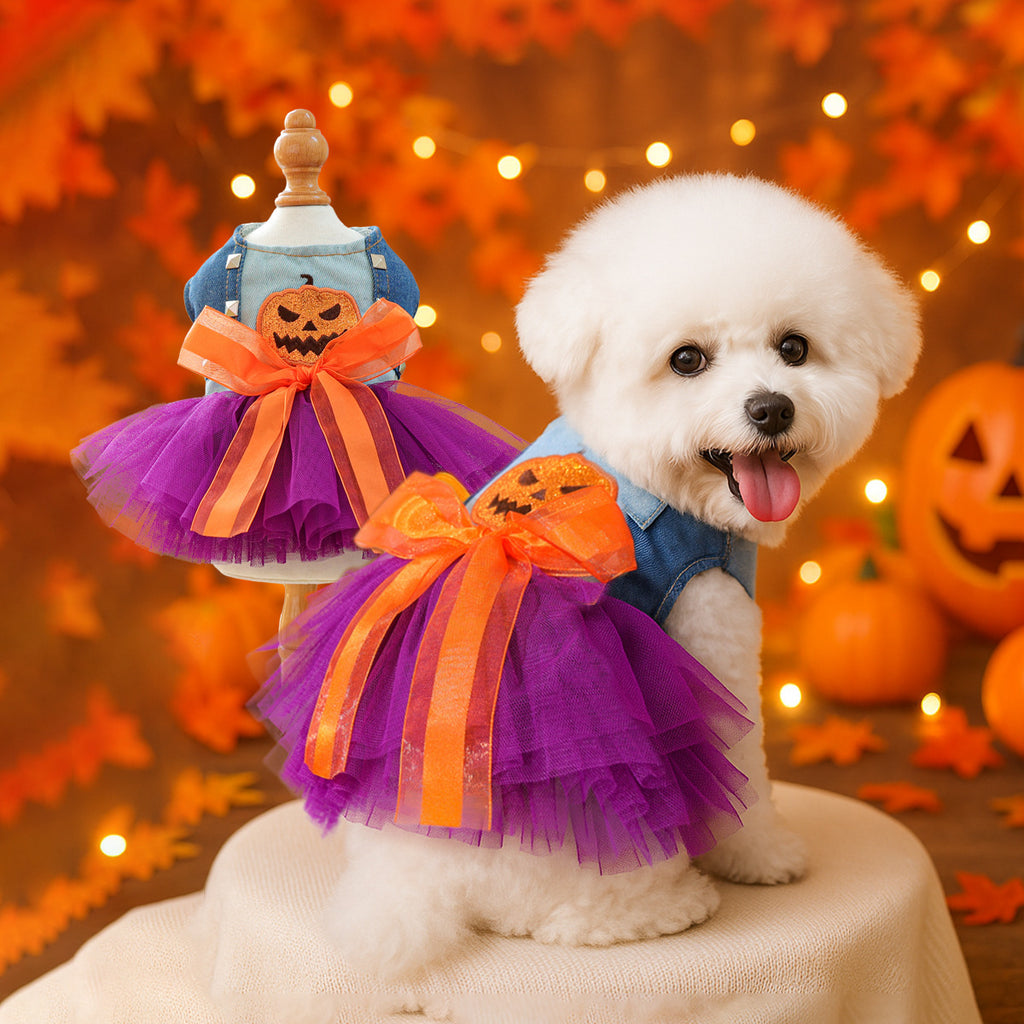 Halloween pet dress and costume set for dogs and cats