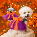 Halloween pet dress and costume set for dogs and cats