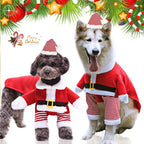 Christmas pet costume for dogs and cats