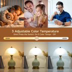 VelvetGold Vintage Table Lamp