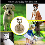 PetMark Custom Engraved Pet ID Tag