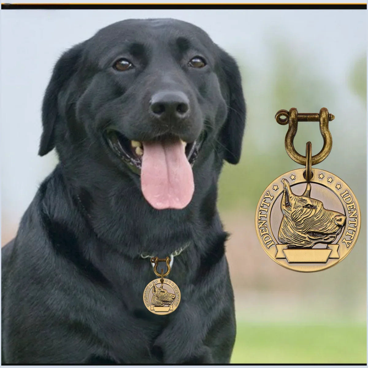 PetMark Custom Engraved Pet ID Tag