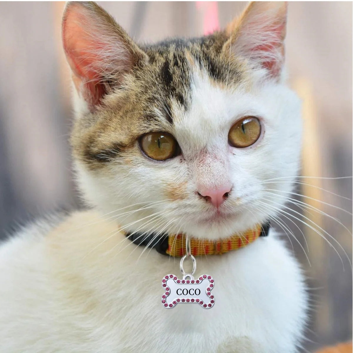 PetMark Custom Engraved Pet ID Tag