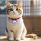PetMark Custom Engraved Pet ID Tag