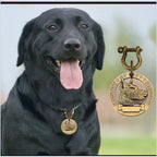 PetMark Custom Engraved Pet ID Tag
